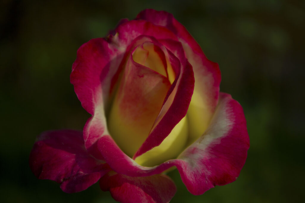 DSC_0107